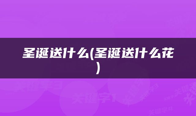 圣诞送什么(圣诞送什么花)