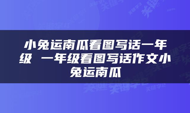 小兔运南瓜看图写话一年级 一年级看图写话作文小兔运南瓜