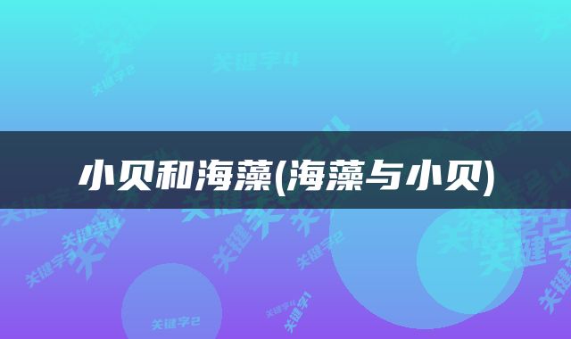 小贝和海藻(海藻与小贝)