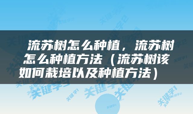  流苏树怎么种植，流苏树怎么种植方法（流苏树该如何栽培以及种植方法） 