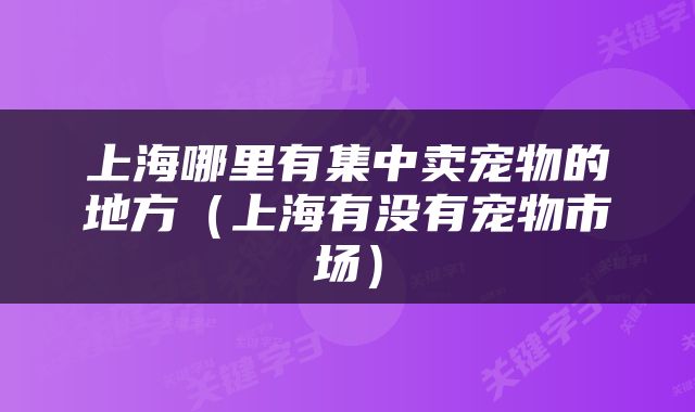 上海哪里有集中卖宠物的地方（上海有没有宠物市场）