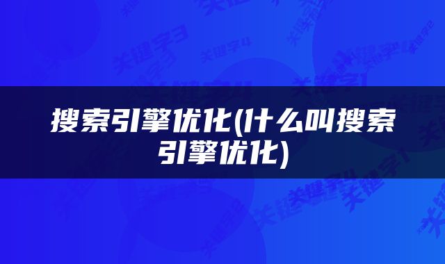 搜索引擎优化(什么叫搜索引擎优化)
