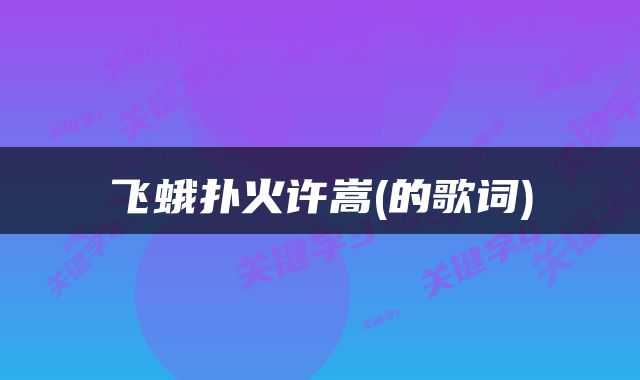 飞蛾扑火许嵩(的歌词)