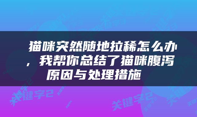  猫咪突然随地拉稀怎么办，我帮你总结了猫咪腹泻原因与处理措施 