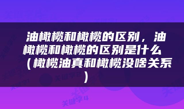  油橄榄和橄榄的区别，油橄榄和橄榄的区别是什么（橄榄油真和橄榄没啥关系） 