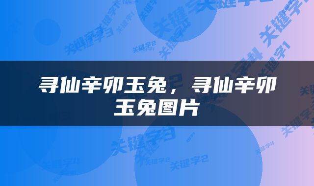 寻仙辛卯玉兔，寻仙辛卯玉兔图片