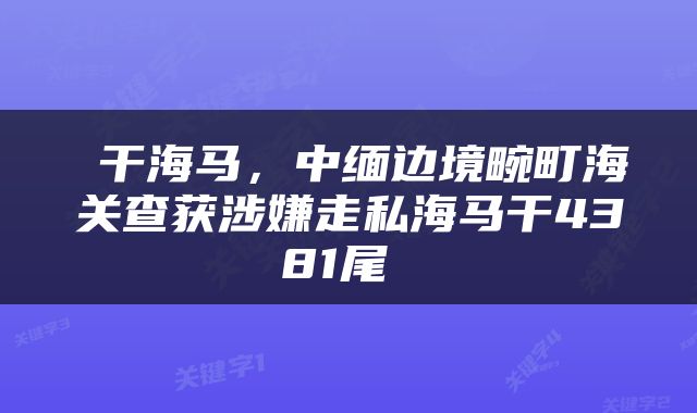  干海马，中缅边境畹町海关查获涉嫌走私海马干4381尾 