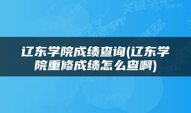 辽东学院成绩查询(辽东学院重修成绩怎么查啊)