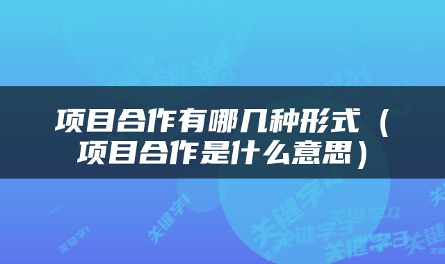 项目合作有哪几种形式（项目合作是什么意思）