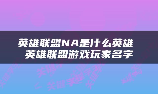 英雄联盟NA是什么英雄 英雄联盟游戏玩家名字