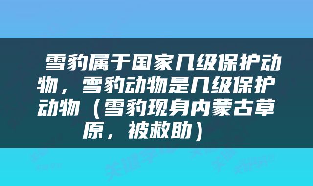  雪豹属于国家几级保护动物，雪豹动物是几级保护动物（雪豹现身内蒙古草原，被救助） 