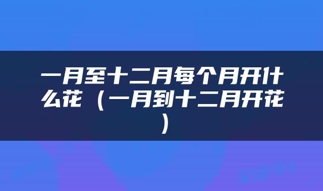 一月至十二月每个月开什么花（一月到十二月开花）