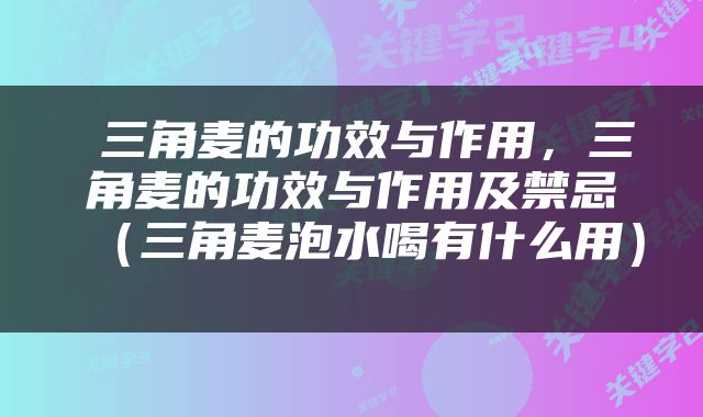  三角麦的功效与作用，三角麦的功效与作用及禁忌（三角麦泡水喝有什么用） 