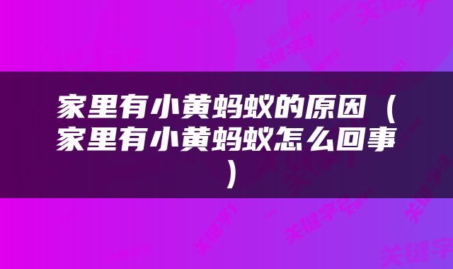 家里有小黄蚂蚁的原因（家里有小黄蚂蚁怎么回事）
