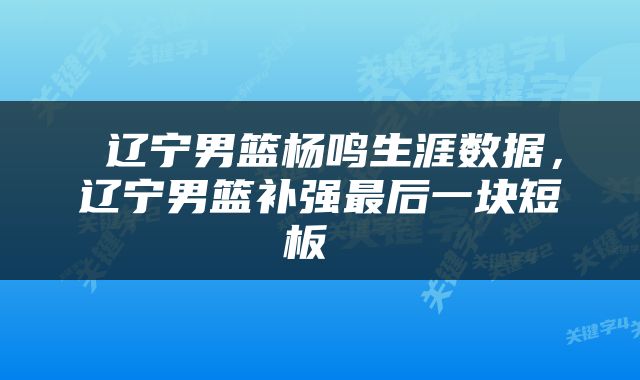 辽宁男篮杨鸣生涯数据,辽宁男篮补强最后一块短板