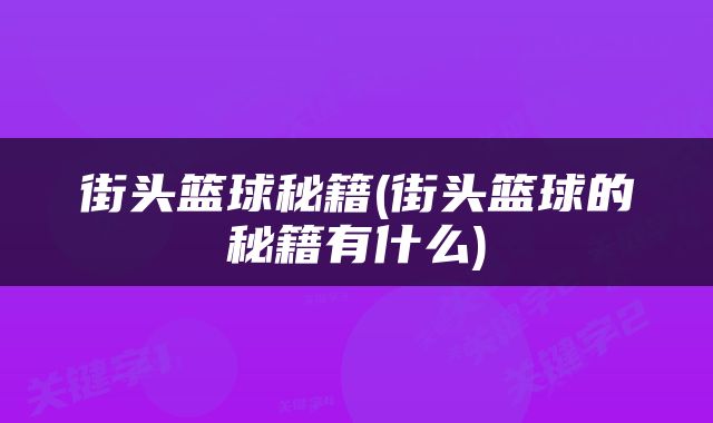街头篮球秘籍(街头篮球的秘籍有什么)