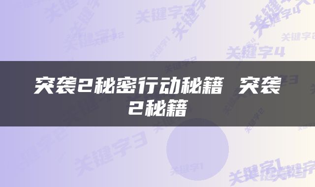 突袭2秘密行动秘籍 突袭2秘籍