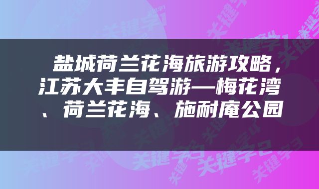  盐城荷兰花海旅游攻略，江苏大丰自驾游—梅花湾、荷兰花海、施耐庵公园 