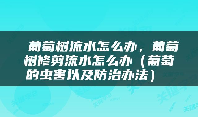  葡萄树流水怎么办，葡萄树修剪流水怎么办（葡萄的虫害以及防治办法） 