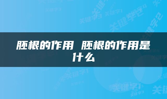 胚根的作用 胚根的作用是什么