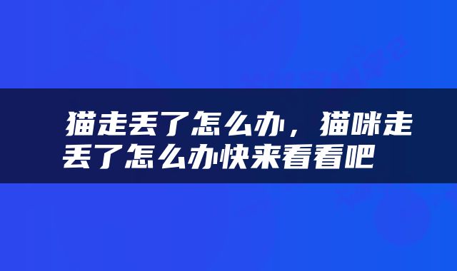  猫走丢了怎么办，猫咪走丢了怎么办快来看看吧 