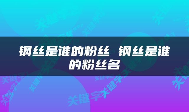 钢丝是谁的粉丝 钢丝是谁的粉丝名