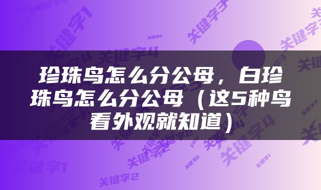 珍珠鸟怎么分公母，白珍珠鸟怎么分公母（这5种鸟看外观就知道）