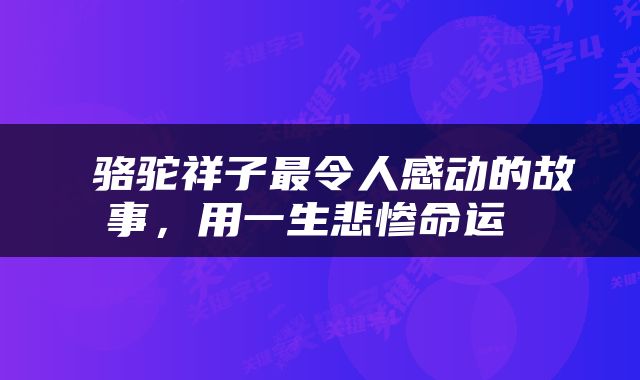  骆驼祥子最令人感动的故事，用一生悲惨命运 