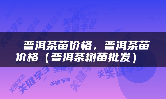  普洱茶苗价格，普洱茶苗价格（普洱茶树苗批发） 