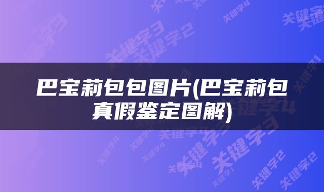 巴宝莉包包图片(巴宝莉包真假鉴定图解)