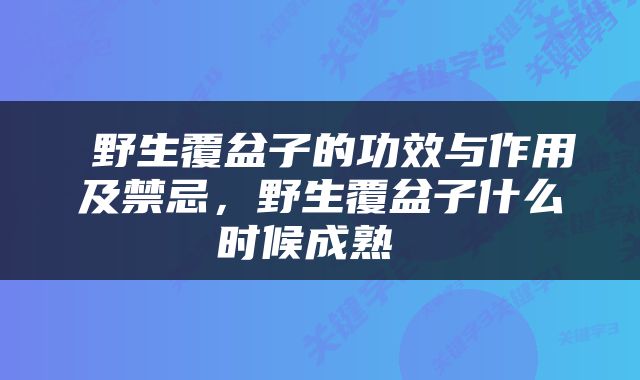  野生覆盆子的功效与作用及禁忌，野生覆盆子什么时候成熟 