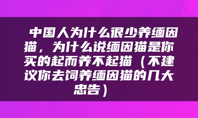  中国人为什么很少养缅因猫，为什么说缅因猫是你买的起而养不起猫（不建议你去饲养缅因猫的几大忠告） 