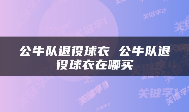 公牛队退役球衣 公牛队退役球衣在哪买