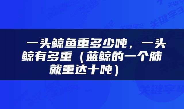  一头鲸鱼重多少吨，一头鲸有多重（蓝鲸的一个肺就重达十吨） 