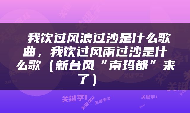  我饮过风浪过沙是什么歌曲，我饮过风雨过沙是什么歌（新台风“南玛都”来了） 