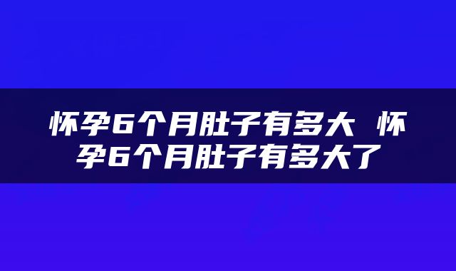 怀孕6个月肚子有多大 怀孕6个月肚子有多大了