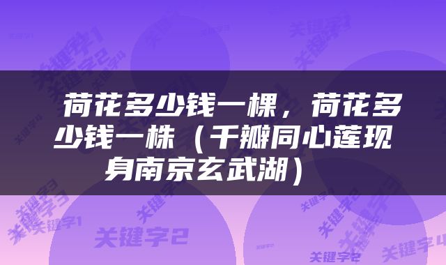  荷花多少钱一棵，荷花多少钱一株（千瓣同心莲现身南京玄武湖） 