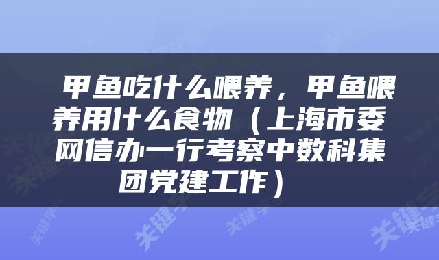  甲鱼吃什么喂养，甲鱼喂养用什么食物（上海市委网信办一行考察中数科集团党建工作） 