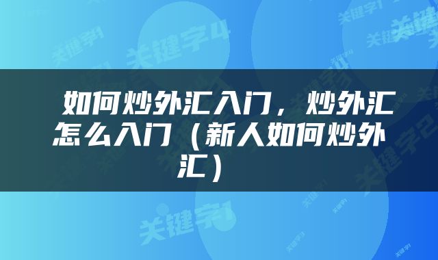  如何炒外汇入门，炒外汇怎么入门（新人如何炒外汇） 