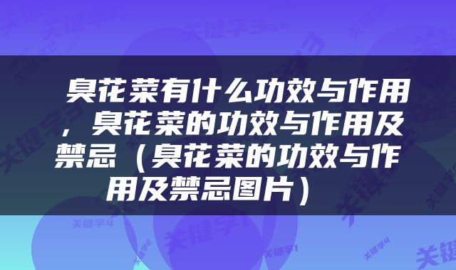  臭花菜有什么功效与作用，臭花菜的功效与作用及禁忌（臭花菜的功效与作用及禁忌图片） 