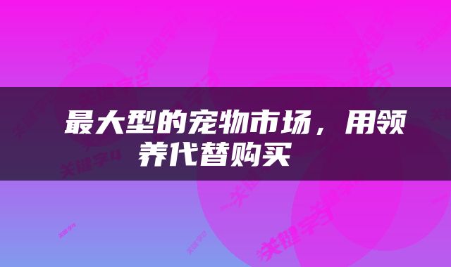  最大型的宠物市场，用领养代替购买 