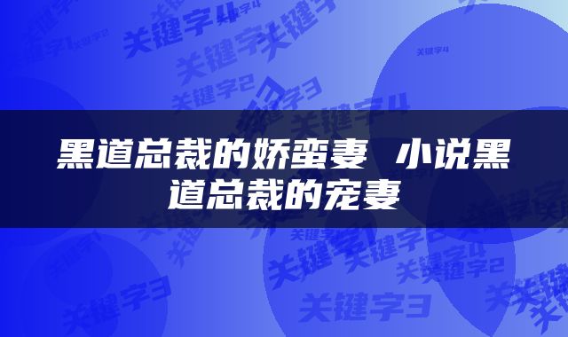 黑道总裁的娇蛮妻 小说黑道总裁的宠妻