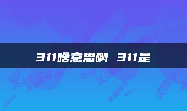 311啥意思啊 311是