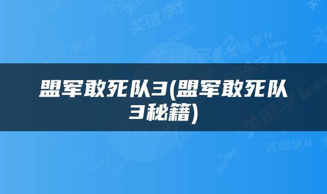 盟军敢死队3(盟军敢死队3秘籍)