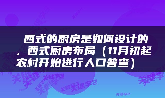  西式的厨房是如何设计的，西式厨房布局（11月初起农村开始进行人口普查） 