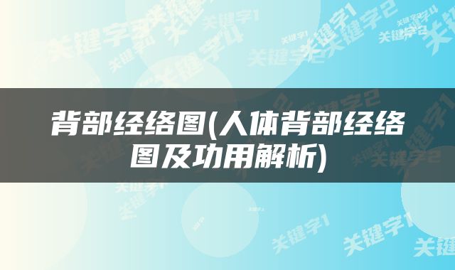 背部经络图(人体背部经络图及功用解析)
