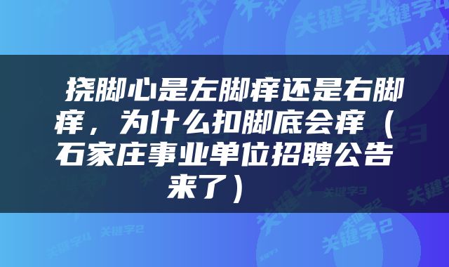  挠脚心是左脚痒还是右脚痒，为什么扣脚底会痒（石家庄事业单位招聘公告来了） 