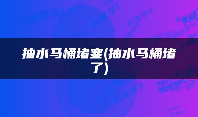 抽水马桶堵塞(抽水马桶堵了)