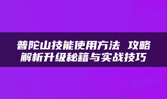 普陀山技能使用方法 攻略解析升级秘籍与实战技巧