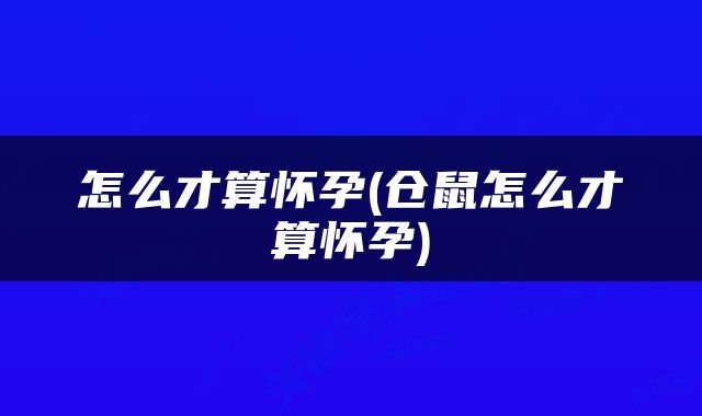 怎么才算怀孕(仓鼠怎么才算怀孕)